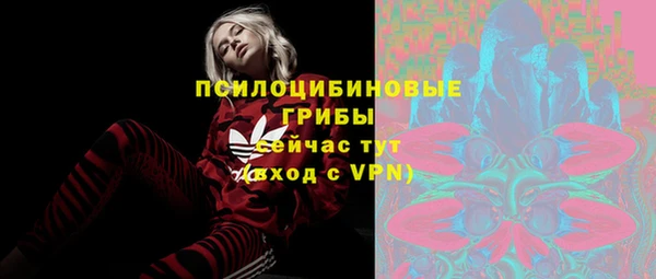альфа пвп Горняк